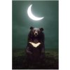 785701 NORIMPEX 5D Diamantová mozaika - Medveď a mesiac