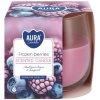 Aura Bispol Frozen Berries vonná sviečka 130g