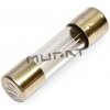 Poistka sklo 5x20mm T 4,0A