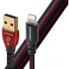 AUDIOQUEST USB Cinnamon 1.5m A - Lightning