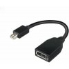 LENOVO MINI DP (M) TO FULL SIZE (F) CABLE (4X90L13971)