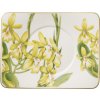 Villeroy & Boch Podšálka 17 x 14 cm Amazonia