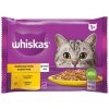Whiskas Cat hydinový výber Kuracie Kačacie Morčacie v želé 4 x 85 g