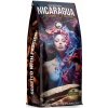 Blue Orca Nicaragua Jinotega 1 kg