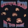 Grateful Dead - In The Dark / Vinyl [LP]