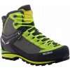 Salewa MS Crow GTX zelené