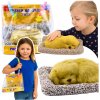 LEAN Toys 27898 Spiaci labrador na vankúši s mäkkou srsťou a taškou