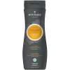 ATTITUDE Super leaves s detoxikačným účinkom normálne vlasy prírodný pánsky šampón & telové mydlo 2 v 1 473 ml