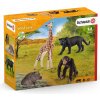 Schleich Štartovací balíček divočina 72162