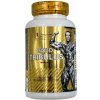Kevin Levrone Gold Tribulus 90 tabliet