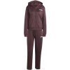 Dámska Tepláková súprava ADIDAS W LINEAR TS JD2698 – Vínová
