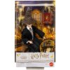 Harry Potter: Harry a ja ťa robím fľaša - Mattel