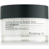 Pyunkang Yul Calming Moisture Repair Balm zklidňující a obnovující pleťový balzám 30 ml unisex
