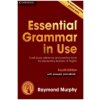 Essential Grammar in Use