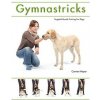 Gymnastricks (Carmen Meyer)()