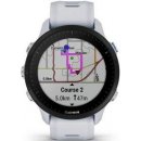 Garmin Forerunner 955 PRO