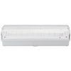 NEDES LED Núdzové svietidlo LED/3W/240V 6000K IP65 ND3159 + záruka 3 roky zadarmo + záruka 3 roky zadarmo