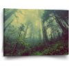 Sablio Obraz Temný les - 60x40 cm