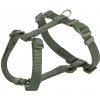 TRIXIE PREMIUM H-postroj, L-XL: 75-120 cm/25 mm, olivovo zelená