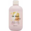 Inebrya Ice Cream Argan Age Pro-Age Shampoo 300 ml