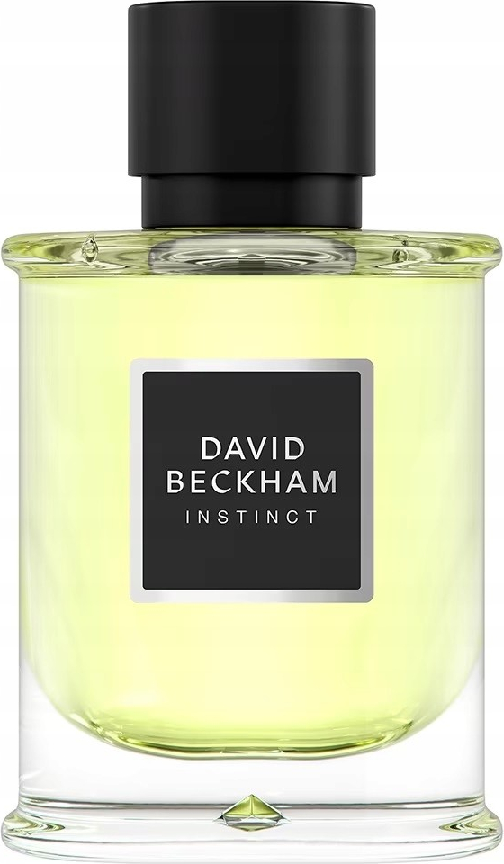 David Beckham Instinct parfumovaná voda pánska 75 ml