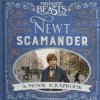 Fantastic Beasts and Where to Find Them - Newt Scamander (Warner Bros.)(Pevná)