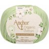 Anchor Organic Cotton 01043 Pletacia priadza