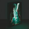 Obraz LED svietiace 30x40, Harry potter - Harry vs. Voldemort