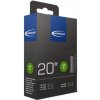 Schwalbe AV