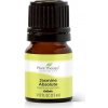 Plant Therapy Jasmine absolute 2,5 ml