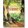 Stromy