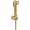Grohe 27513GN1