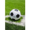 FLEECOVÁ DEKA FUTBALOVÁ LOPTA 100x150 cm IHRISKO