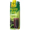 Rauch Happy Day Čierna ríbezľa 25% 1l