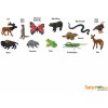 Set figúrok a príslušenstva Safari Ltd. Tuba - V lese (95866000325)