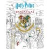 Harry Potter: Oficiální bradavické omalovánky - Paula Rozelle Hanback