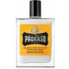 Proraso Wood and Spice balzam po holení 100 ml