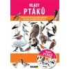 Hlasy ptáků - Chocholáčková Jozefa