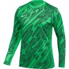 Nike | Gardien V Goalkeeper Jersey Women | zelená| M