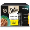 Sheba Delikatesse in Jelly kura morka kačica hydina 12 x 85 g
