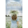 Pre šťastie - Gillerová Katarína