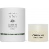 Pestle & Mortar Chummi The Lip Mask Coconut vyživující hydratující a obnovující maska na rty 20 g