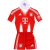 Fan-shop Minidres do auta BAYERN MNICHOV 2025/26 Home