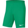 Nike | Dri-FIT Park III | zelená| S