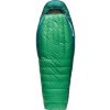 Spací vak SEA TO SUMMIT ASCENT DOWN -9C LONG