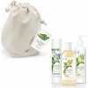 Dove Powered By Plants Gift Set Telové mlieko 250ml + Sprchový gél 250ml + Deospray 75ml