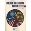 Biologia molekularna bakterii