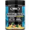 Real Pharm Amino Rest 500 g