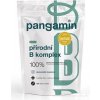 Pangamin prírodný B komplex 120 tabliet