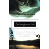 An Imaginary Life